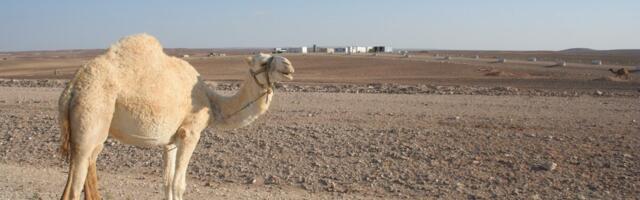 Eesti Energia получила 7 млн долларов внеочередных дивидендов из Иордании