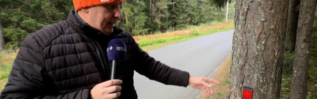 "Зеркало" разбиралось с жалобами на нарвскую дорогу Пыхья-Кудрукюла