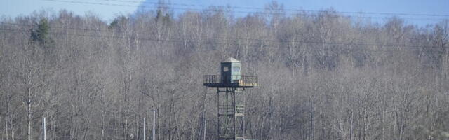 Спасательный департамент: дым от пожара на нефтяном терминале Усть-Луга может дойти до Эстонии