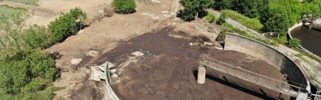 В Маарду в реку Йыэляхтме попала дождевая вода, соприкасавшаяся с куриным пометом