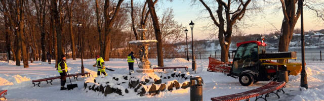 В Нарве сменился оператор по уборке зеленых городских зон