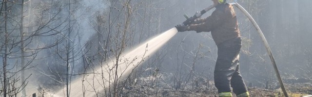 В четырех уездах Эстонии начинается пожароопасный период