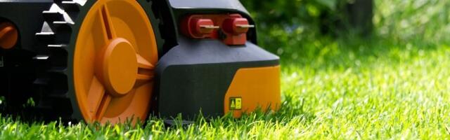 Центр ученической дружины: строгие требования усложняют поиск работы для подростков