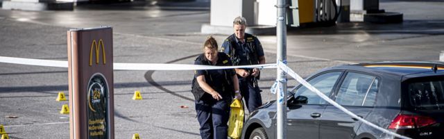 В Швеции застрелили 12-летнюю девочку, выгуливавшую собаку