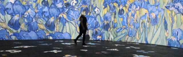 Анимированные цветы, напитки и сладости для дам: в таллиннском мультимедийном пространстве проходит женская неделя
