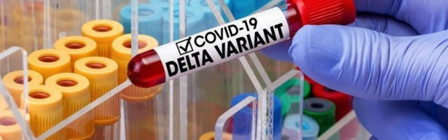 Обновлено: Из России в Эстонию скоро так просто будет не попасть