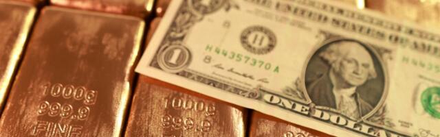 Взгляд аналитиков: что спасет от кризиса — доллар, облигации или золото?