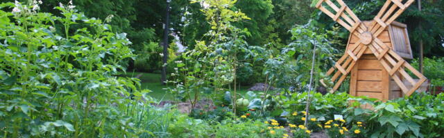 В ботаническом саду ТУ открыта овощная грядка для детей