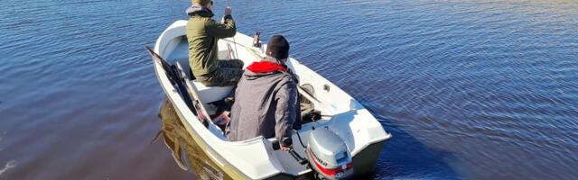ВИДЕО КРАЖИ | Из крупнейшего пункта проката лодок в Эстонии украли восемь лодочных моторов