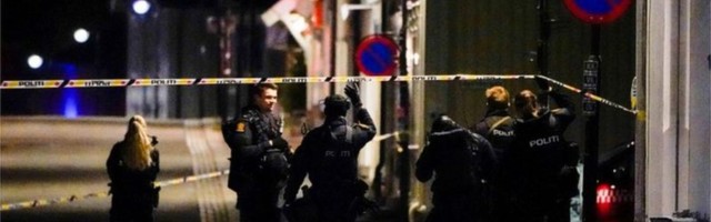 Мужчина, вооруженный луком и стрелами, убил пять человек в Норвегии