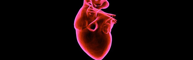 Открытие: коронавирус неожиданным образом меняет сердца зараженных