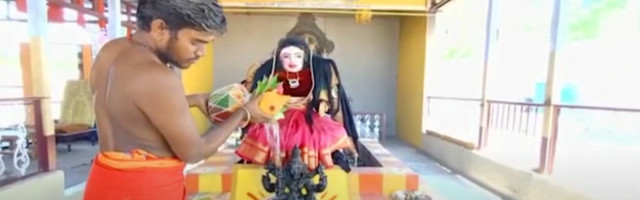 В Индии начали поклоняться богине коронавируса