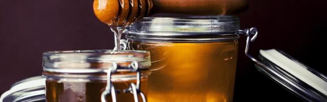 ЕС борется с «неправильным» мёдом, усиливая контроль над его происхождением