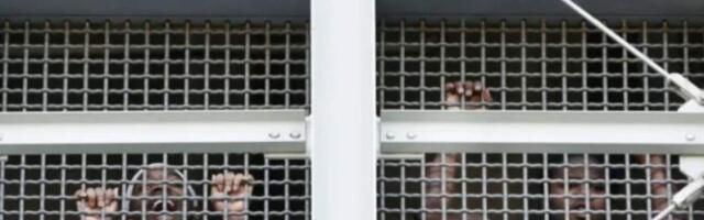 Нью-Йорк выпускает из тюрьмы заключенных из-за забастовки охранников