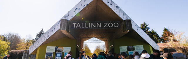 Каллас поддерживает расширение программы "Культурный ранец" для оплаты школьных поездок