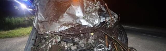 СМИ: пьяным водителем, вылетевшим с дороги на огромной скорости, оказался видный медик из Нарвы