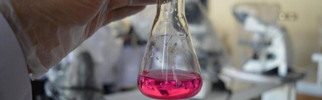 Получивший субсидию бизнесмен: даже в маленькой Эстонии можно создавать инновации, меняющие мир