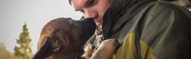 В Ида-Вирумааскую полицию на службу поступили четвероногие новобранцы (фото)