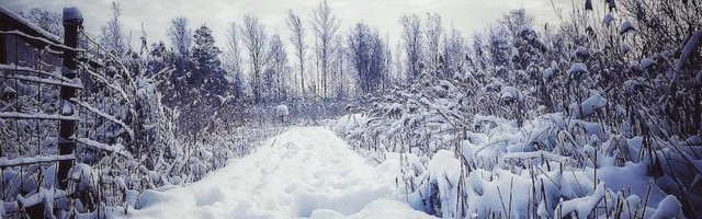 Хвала и уважение тому человеку, который каждое утро в снегу протаптывает тропинку!