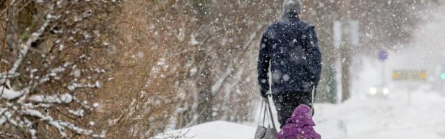 Ольга Штраубе: Михаил Кылварт, в сторону такси, скорее заводите снегоуборщик!