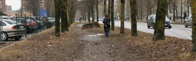 В Нарве начинается крупный дорожный ремонт: движение на Солдина и Вахтра будет затруднено