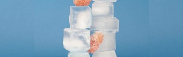 Как работают кубики льда для лица, кому нельзя использовать кубики льда для лица?