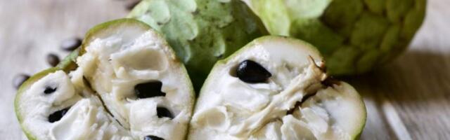 Черимойя: что это за фрукт, как едят, где растёт, вкус, полезные свойства