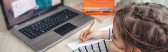 Служба образования: «Онлайн-уроки должны составлять не менее половины от объема всей учебной работы»