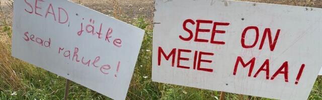 Профессор Университета естественных наук об АЧС: ситуация довольно опасная