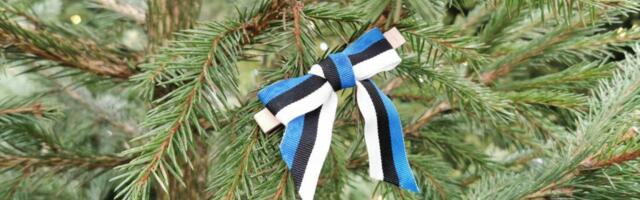 Ель на таллиннскую Ратушную площадь прибудет из Рапламаа