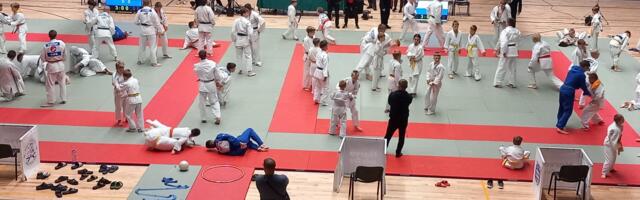После раздумий город решил выделить деньги на турнир по дзюдо