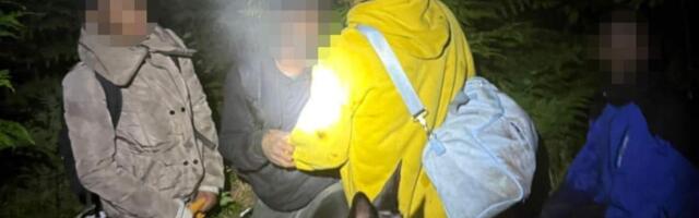 Собака литовских пограничников задержала прорвавшихся из Беларуси в Латвию мигрантов