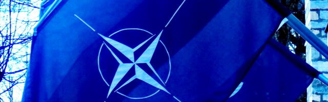 «Может привести к гибели НАТО» — финские эксперты оценили мирный план РФ и США по Украине