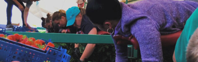 В Эстонии призывают замечать трудовую эксплуатацию иностранцев