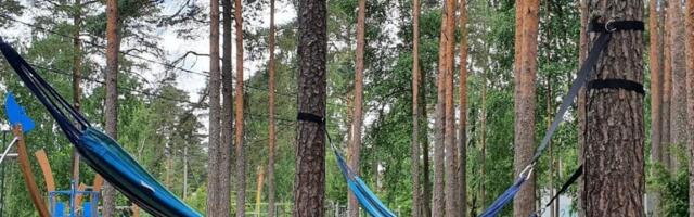 Место для отдыха: в Нымме установили 12 гамаков