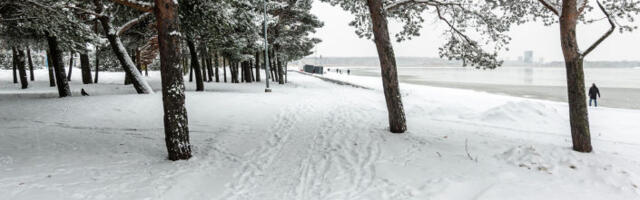 Весна стучится в двери: какая погода ожидается в Эстонии в последние зимние дни