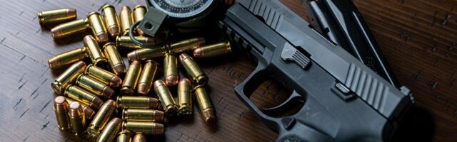 Поправки к Закону об оружии: частные лица смогут хранить больше боеприпасов