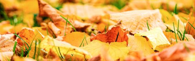 Октябрь был теплее среднего