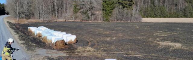 ФОТО | Высокая опасность засухи: огонь уничтожил поле и поджег рулоны силоса