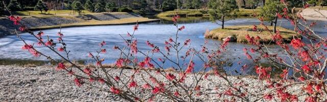 Во вторник переменная облачность, без осадков, 10...+16