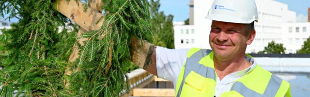 «Ласнамяэ сравним с Тарту, но нет ни одной станции переработки отходов» — создание суперсовременного центра идёт по плану