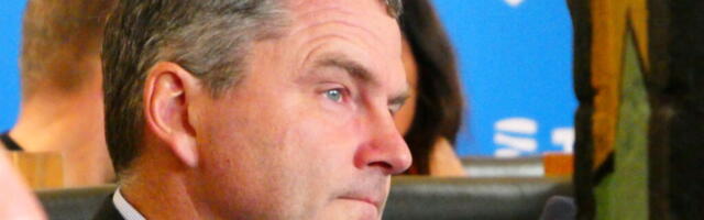 Вице-канцлер Минобороны: У стран Балтии должна быть одинаковая противодроновая стена