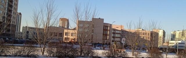 Воскресный антидепрессант Любиной: Новости домового чата