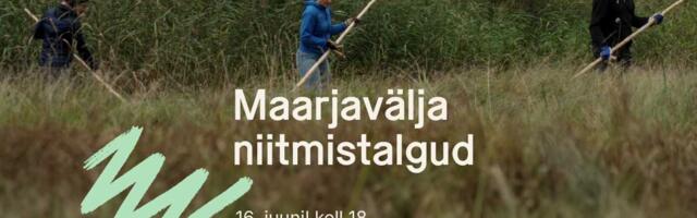 На Maarjaväli пройдут толока и мастер-класс по косьбе