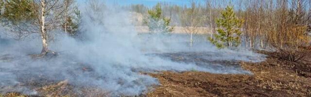 Спасательный департамент: на выходных из-за костров загорелась хозпостройка, пострадал человек