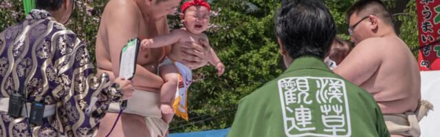Четырёхсотлетняя традиция: в Японии прошел фестиваль, где заставляют плакать младенцев
