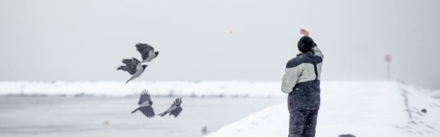 В Литве можно получить штраф за прогулку у моря