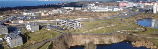 В Ласнамяэ начались работы по высадке цветов