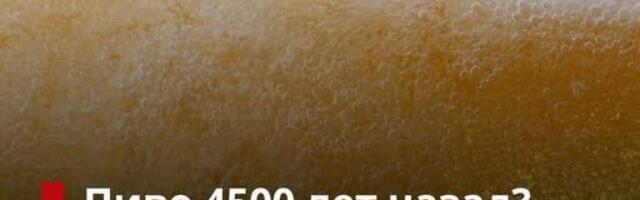 Алкоголь познали еще 4500 лет назад