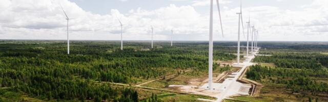 В июле цены на электричество в Эстонии были самыми низкими за пятилетие. А как дальше?